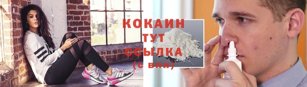 ГАЛЛЮЦИНОГЕННЫЕ ГРИБЫ Баксан