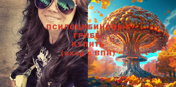 ГАЛЛЮЦИНОГЕННЫЕ ГРИБЫ Баксан