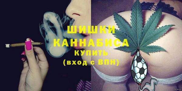шишки Балахна