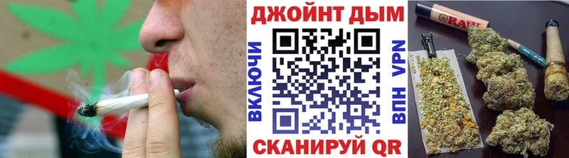 Каннабис сатива  Кузнецк 